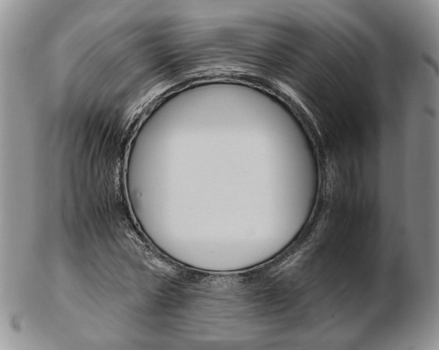X0000103130778200808221040