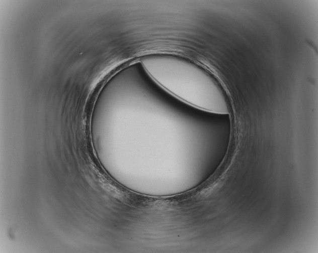 X0000103130779200808221040
