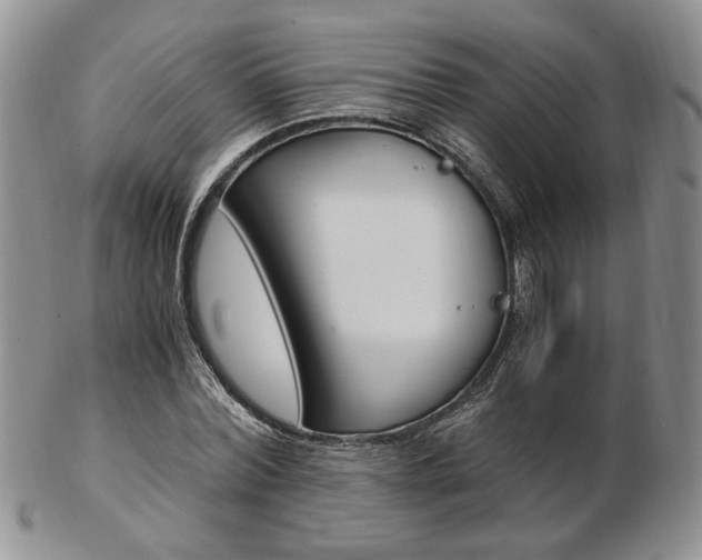 X0000103130780200808221040