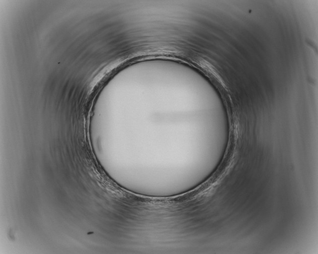 X0000103130781200808221040