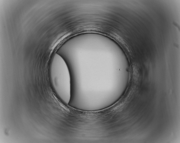X0000103130782200808221040