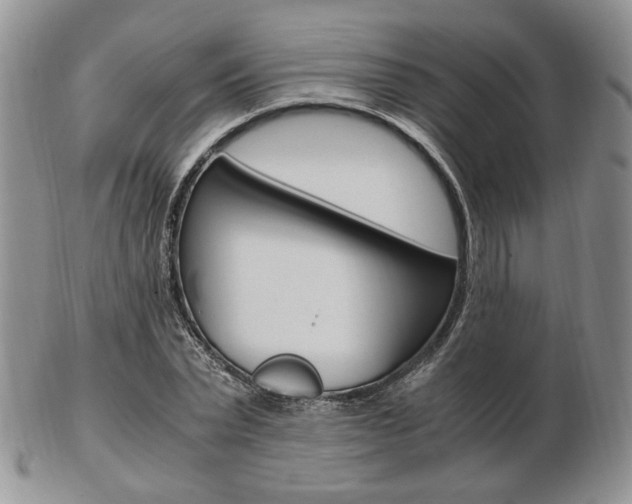 X0000103130783200808221040