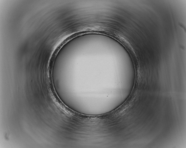 X0000103130784200808221040