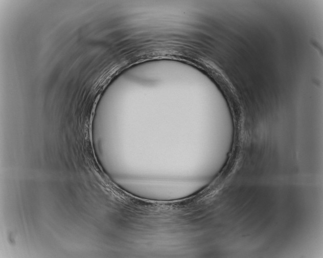 X0000103130785200808221040
