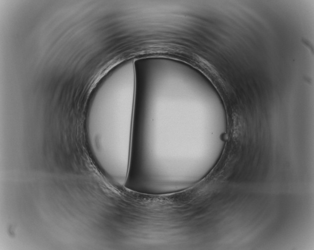 X0000103130786200808221040