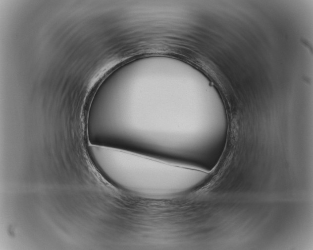 X0000103130787200808221040
