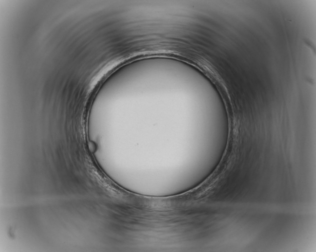 X0000103130789200808221040
