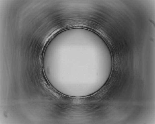 X0000103130790200808221040