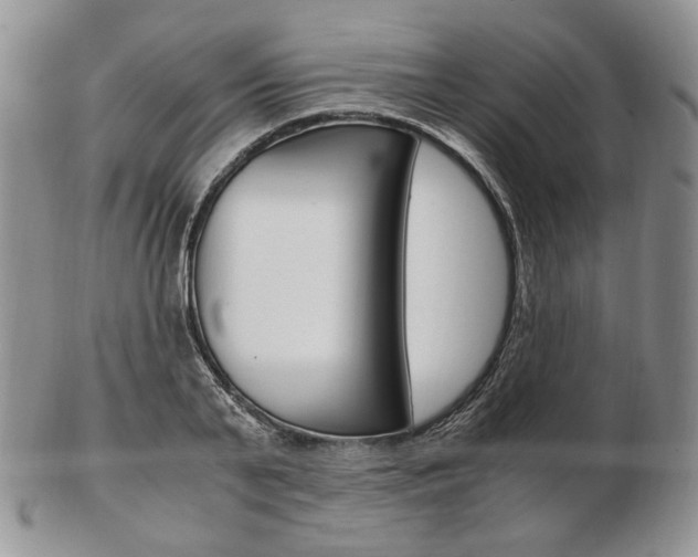 X0000103130791200808221040