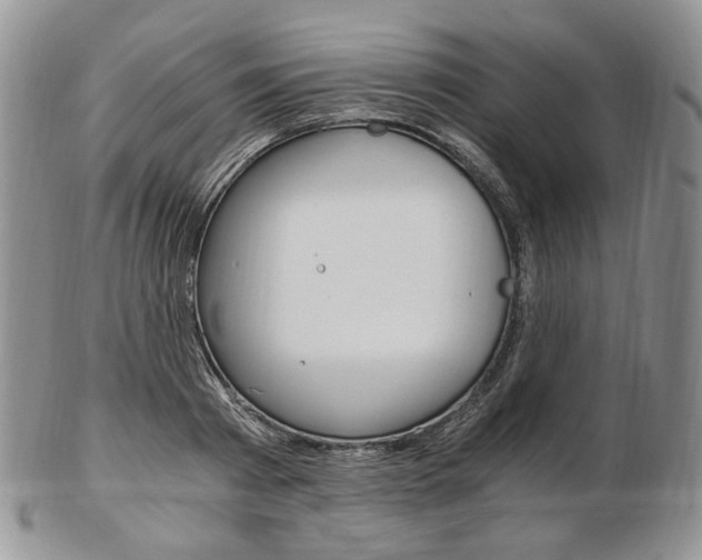 X0000103130793200808221040