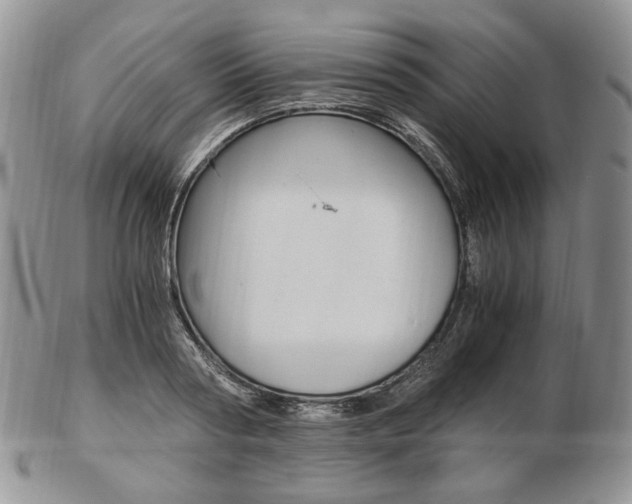 X0000103130794200808221040