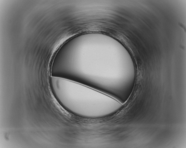X0000103130795200808221040