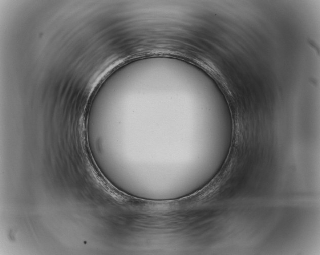 X0000103130798200808221040