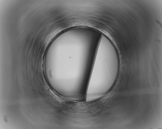 X0000103130799200808221040