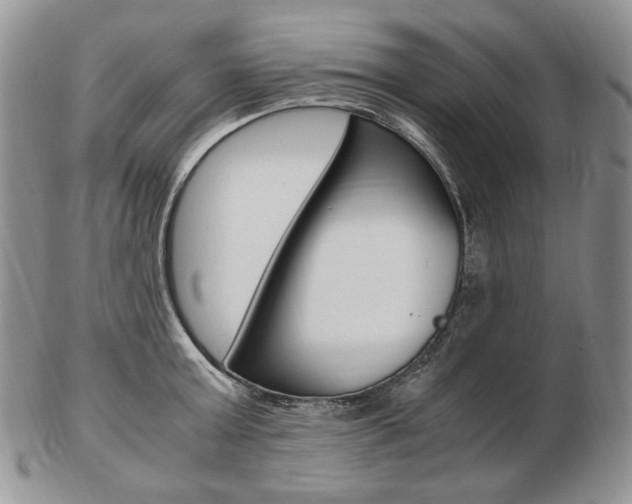 X0000103130803200808221040