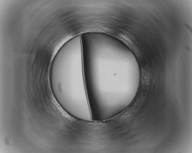 X0000103130804200808221040