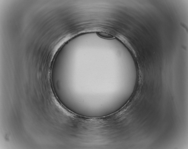 X0000103130805200808221040