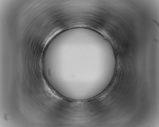 X0000103130806200808221040