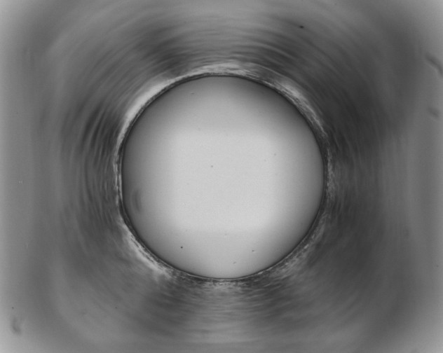 X0000103130808200808221040