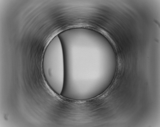 X0000103130810200808221040