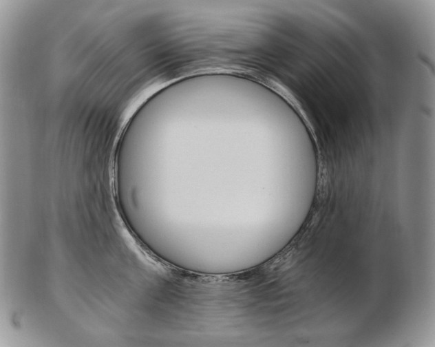 X0000103130811200808221040