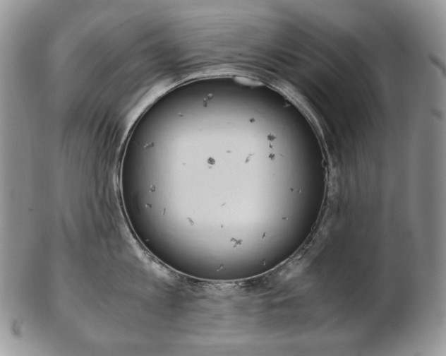 X0000103130813200808221040