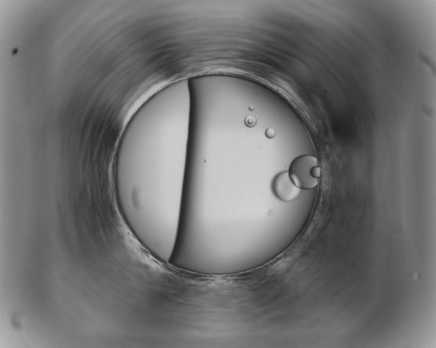 X0000103130814200808221040