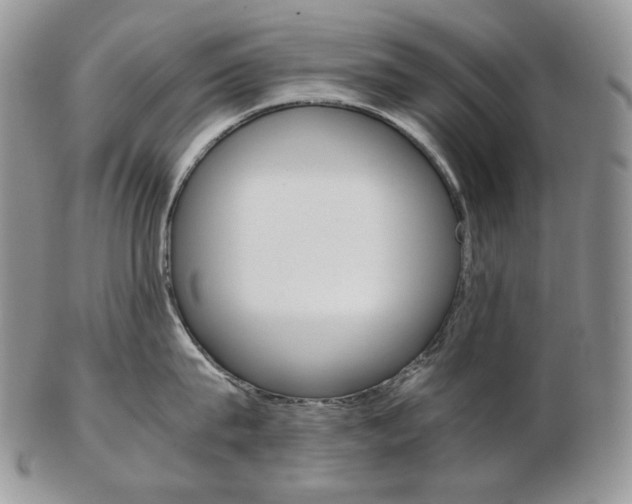 X0000103130815200808221040