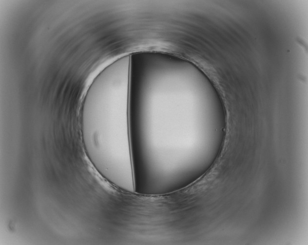 X0000103130816200808221040