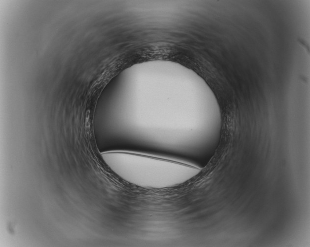 X0000103130818200808221039