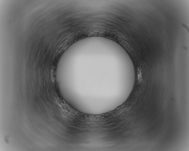 X0000103130819200808221039