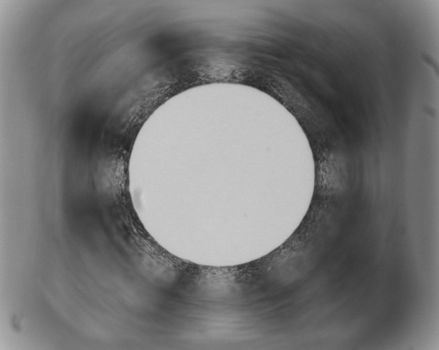 X0000103130820200808221039