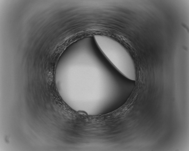 X0000103130821200808221039