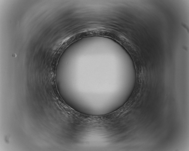 X0000103130822200808221039