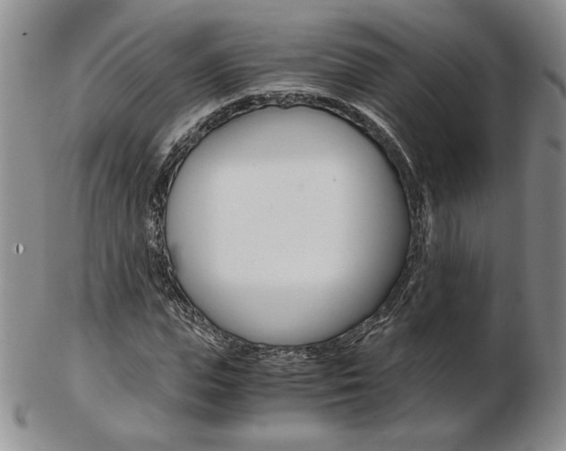 X0000103130823200808221039