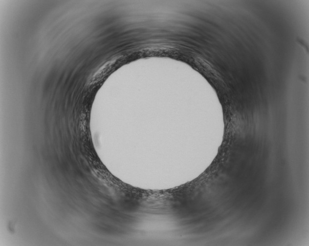 X0000103130824200808221039