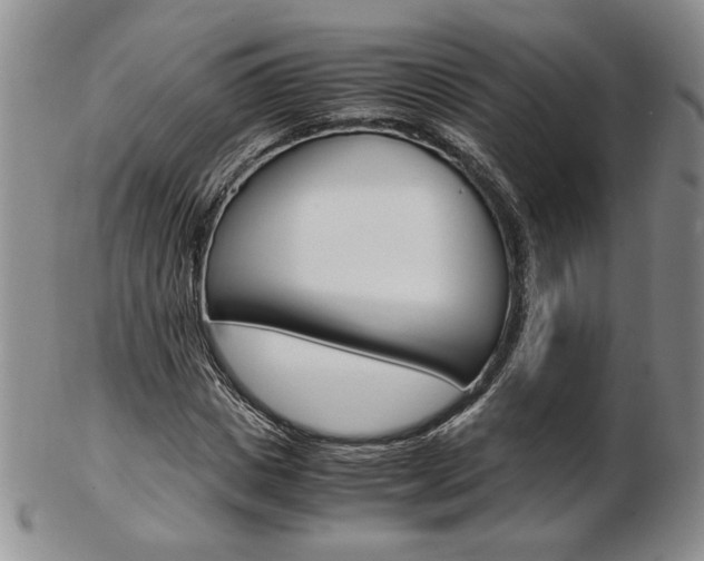 X0000103130825200808221039