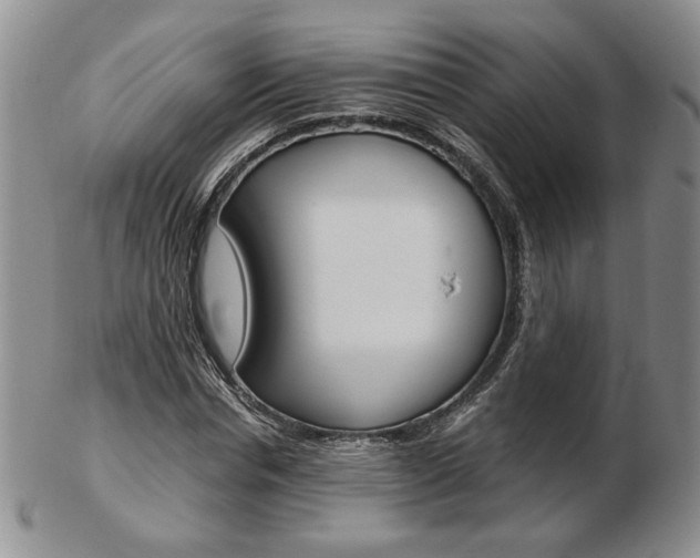 X0000103130826200808221039