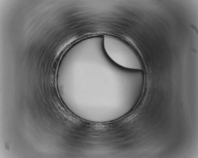X0000103130827200808221039