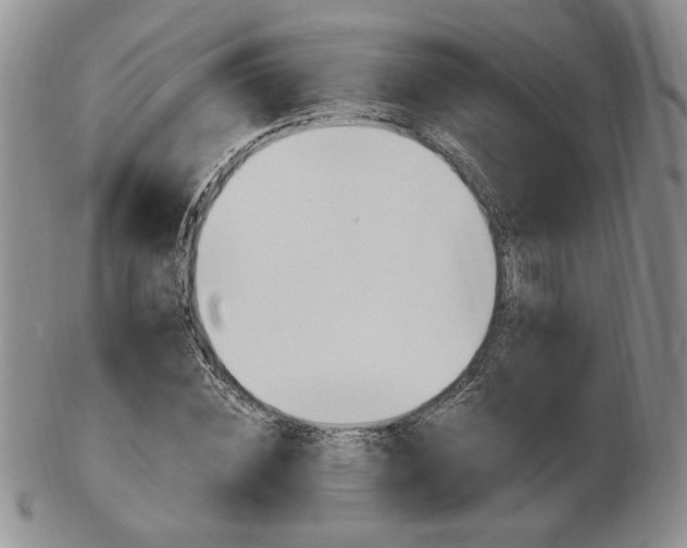 X0000103130828200808221039