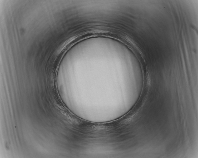 X0000103130829200808221039
