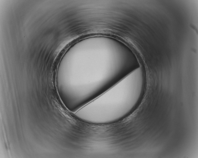X0000103130830200808221039