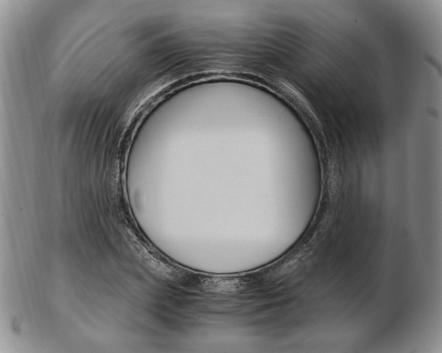 X0000103130831200808221039