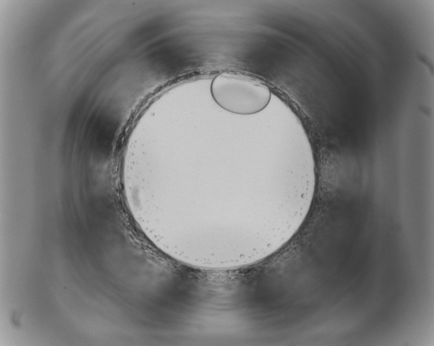 X0000103130832200808221039