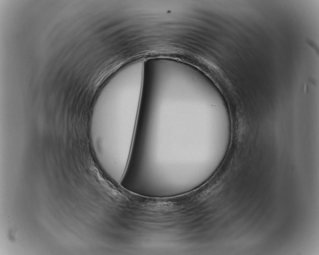X0000103130833200808221039