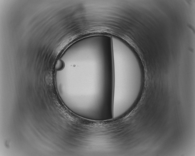 X0000103130834200808221039