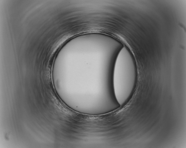X0000103130835200808221039