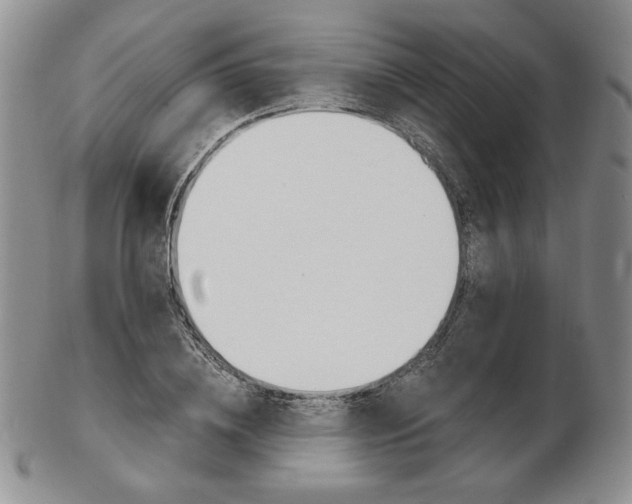 X0000103130836200808221039