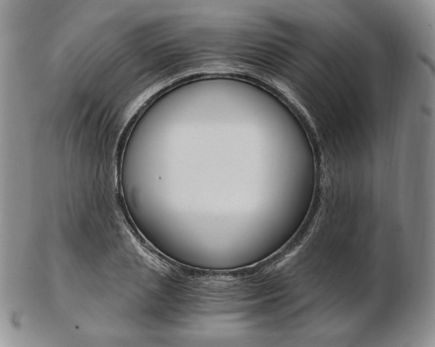 X0000103130837200808221039