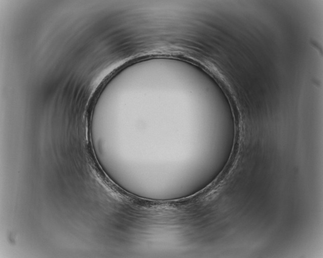 X0000103130838200808221039